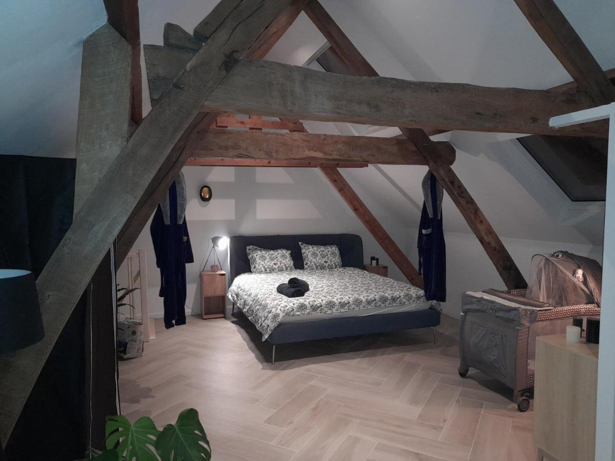 Suite City Center In Quiet Street & Airco Antwerpen Bagian luar foto